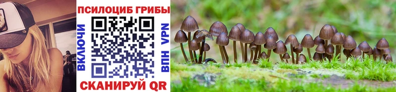 Галлюциногенные грибы Magic Shrooms  Советский 
